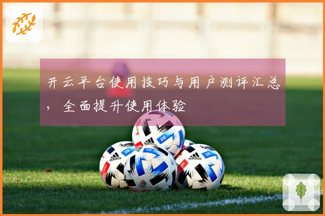 开云平台使用技巧与用户测评汇总，全面提升使用体验