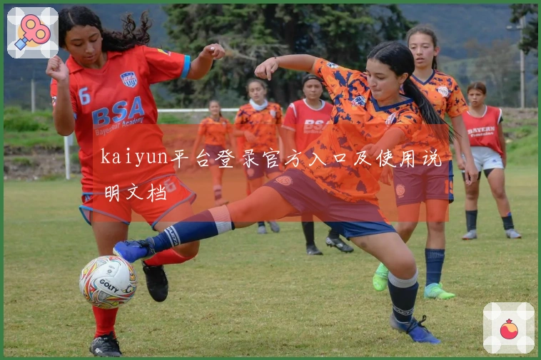 kaiyun平台登录官方入口及使用说明文档