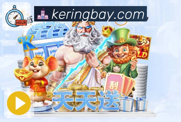 奖项证书